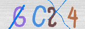 To prevent spam, please prove you are a real person by typing the characters you see in this box into the box below.