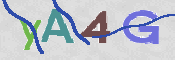 To prevent spam, please prove you are a real person by typing the characters you see in this box into the box below.