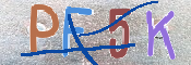 To prevent spam, please prove you are a real person by typing the characters you see in this box into the box below.
