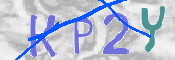 To prevent spam, please prove you are a real person by typing the characters you see in this box into the box below.