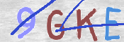 To prevent spam, please prove you are a real person by typing the characters you see in this box into the box below.