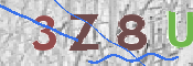 To prevent spam, please prove you are a real person by typing the characters you see in this box into the box below.
