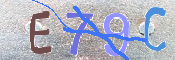 To prevent spam, please prove you are a real person by typing the characters you see in this box into the box below.