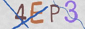 To prevent spam, please prove you are a real person by typing the characters you see in this box into the box below.