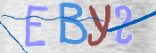 To prevent spam, please prove you are a real person by typing the characters you see in this box into the box below.