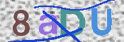 To prevent spam, please prove you are a real person by typing the characters you see in this box into the box below.