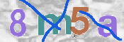 To prevent spam, please prove you are a real person by typing the characters you see in this box into the box below.