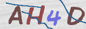 To prevent spam, please prove you are a real person by typing the characters you see in this box into the box below.