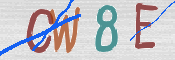 To prevent spam, please prove you are a real person by typing the characters you see in this box into the box below.