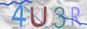 To prevent spam, please prove you are a real person by typing the characters you see in this box into the box below.