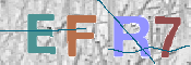 To prevent spam, please prove you are a real person by typing the characters you see in this box into the box below.