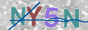 To prevent spam, please prove you are a real person by typing the characters you see in this box into the box below.