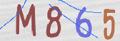 To prevent spam, please prove you are a real person by typing the characters you see in this box into the box below.