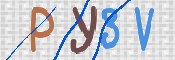 To prevent spam, please prove you are a real person by typing the characters you see in this box into the box below.