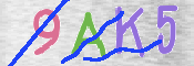 To prevent spam, please prove you are a real person by typing the characters you see in this box into the box below.
