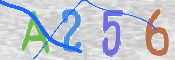 To prevent spam, please prove you are a real person by typing the characters you see in this box into the box below.