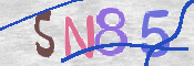 To prevent spam, please prove you are a real person by typing the characters you see in this box into the box below.