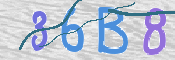 To prevent spam, please prove you are a real person by typing the characters you see in this box into the box below.