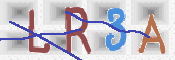To prevent spam, please prove you are a real person by typing the characters you see in this box into the box below.