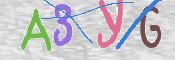 To prevent spam, please prove you are a real person by typing the characters you see in this box into the box below.