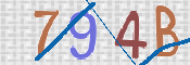 To prevent spam, please prove you are a real person by typing the characters you see in this box into the box below.