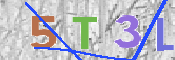 To prevent spam, please prove you are a real person by typing the characters you see in this box into the box below.