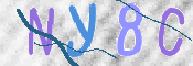 To prevent spam, please prove you are a real person by typing the characters you see in this box into the box below.
