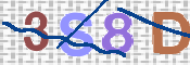 To prevent spam, please prove you are a real person by typing the characters you see in this box into the box below.