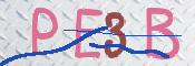 To prevent spam, please prove you are a real person by typing the characters you see in this box into the box below.