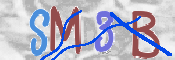 To prevent spam, please prove you are a real person by typing the characters you see in this box into the box below.