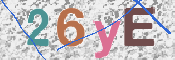 To prevent spam, please prove you are a real person by typing the characters you see in this box into the box below.