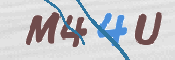To prevent spam, please prove you are a real person by typing the characters you see in this box into the box below.