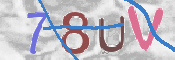 To prevent spam, please prove you are a real person by typing the characters you see in this box into the box below.
