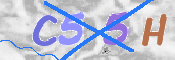 To prevent spam, please prove you are a real person by typing the characters you see in this box into the box below.