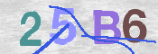 To prevent spam, please prove you are a real person by typing the characters you see in this box into the box below.