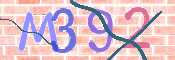 To prevent spam, please prove you are a real person by typing the characters you see in this box into the box below.