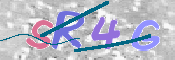 To prevent spam, please prove you are a real person by typing the characters you see in this box into the box below.