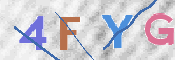 To prevent spam, please prove you are a real person by typing the characters you see in this box into the box below.