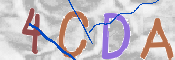 To prevent spam, please prove you are a real person by typing the characters you see in this box into the box below.