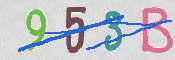To prevent spam, please prove you are a real person by typing the characters you see in this box into the box below.