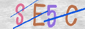 To prevent spam, please prove you are a real person by typing the characters you see in this box into the box below.