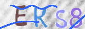 To prevent spam, please prove you are a real person by typing the characters you see in this box into the box below.