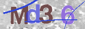 To prevent spam, please prove you are a real person by typing the characters you see in this box into the box below.
