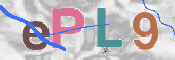 To prevent spam, please prove you are a real person by typing the characters you see in this box into the box below.