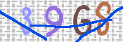 To prevent spam, please prove you are a real person by typing the characters you see in this box into the box below.