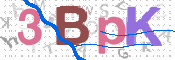To prevent spam, please prove you are a real person by typing the characters you see in this box into the box below.