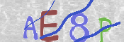 To prevent spam, please prove you are a real person by typing the characters you see in this box into the box below.
