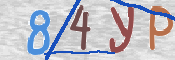 To prevent spam, please prove you are a real person by typing the characters you see in this box into the box below.