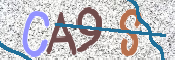 To prevent spam, please prove you are a real person by typing the characters you see in this box into the box below.