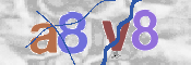 To prevent spam, please prove you are a real person by typing the characters you see in this box into the box below.